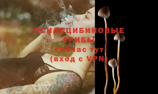 MDMA Premium VHQ Богородск